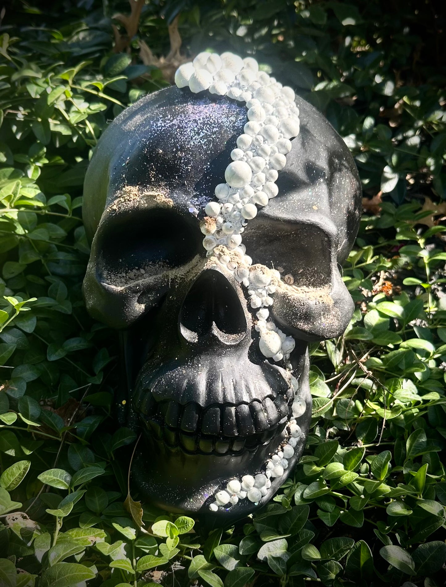 🫧Mother of All Pearl Skull🫧