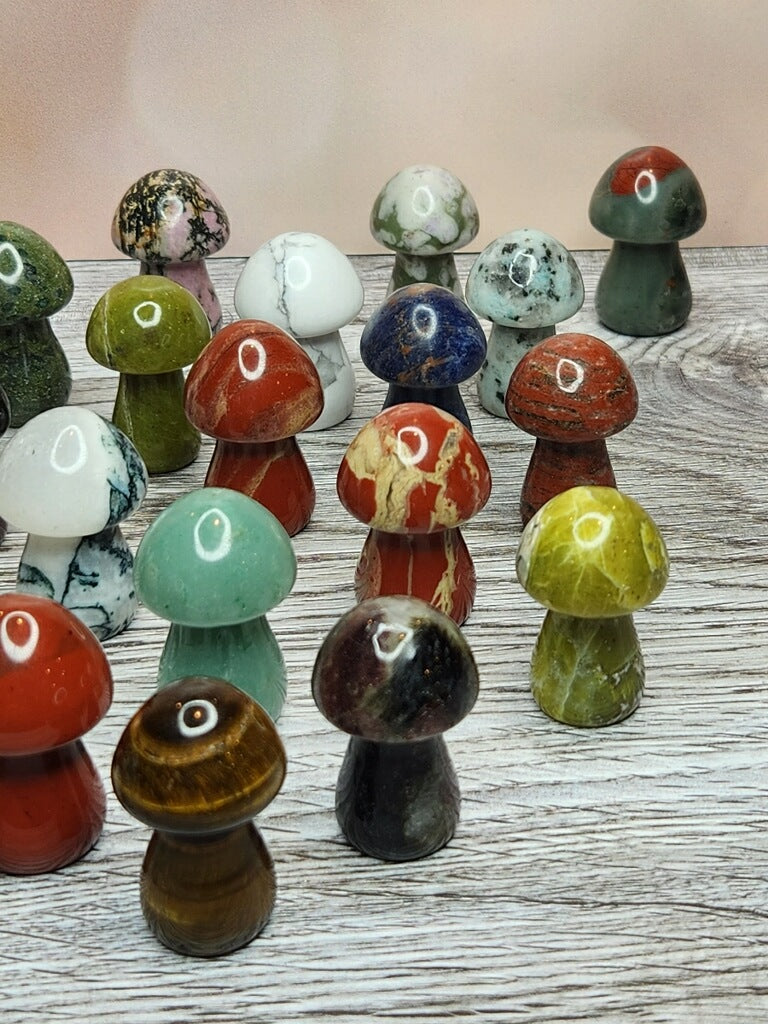 Magic Mushrooms - Healing