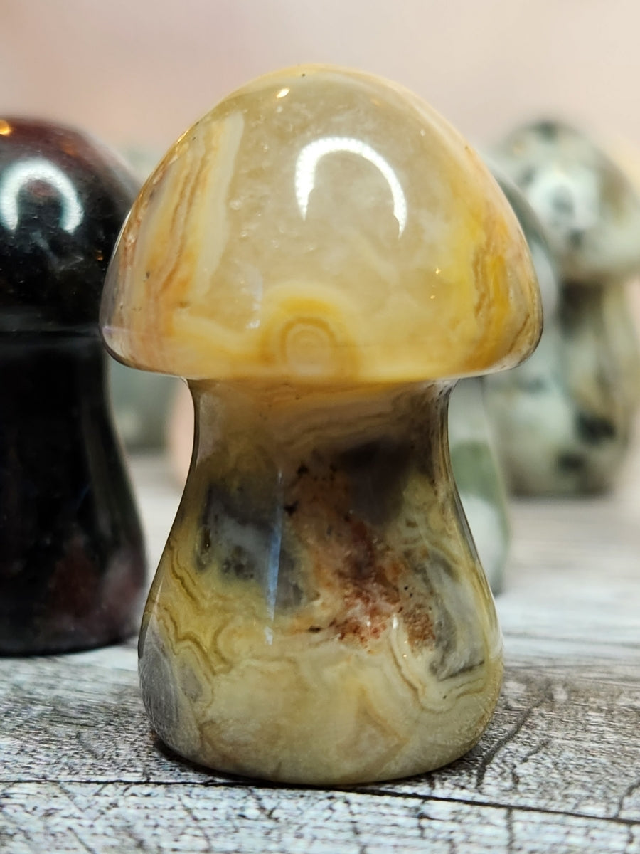 Magic Mushrooms - Healing