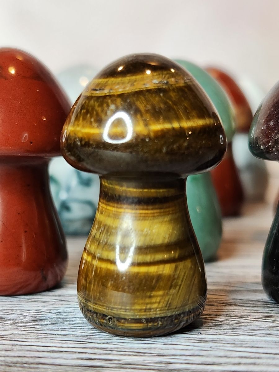 Magic Mushrooms - Healing