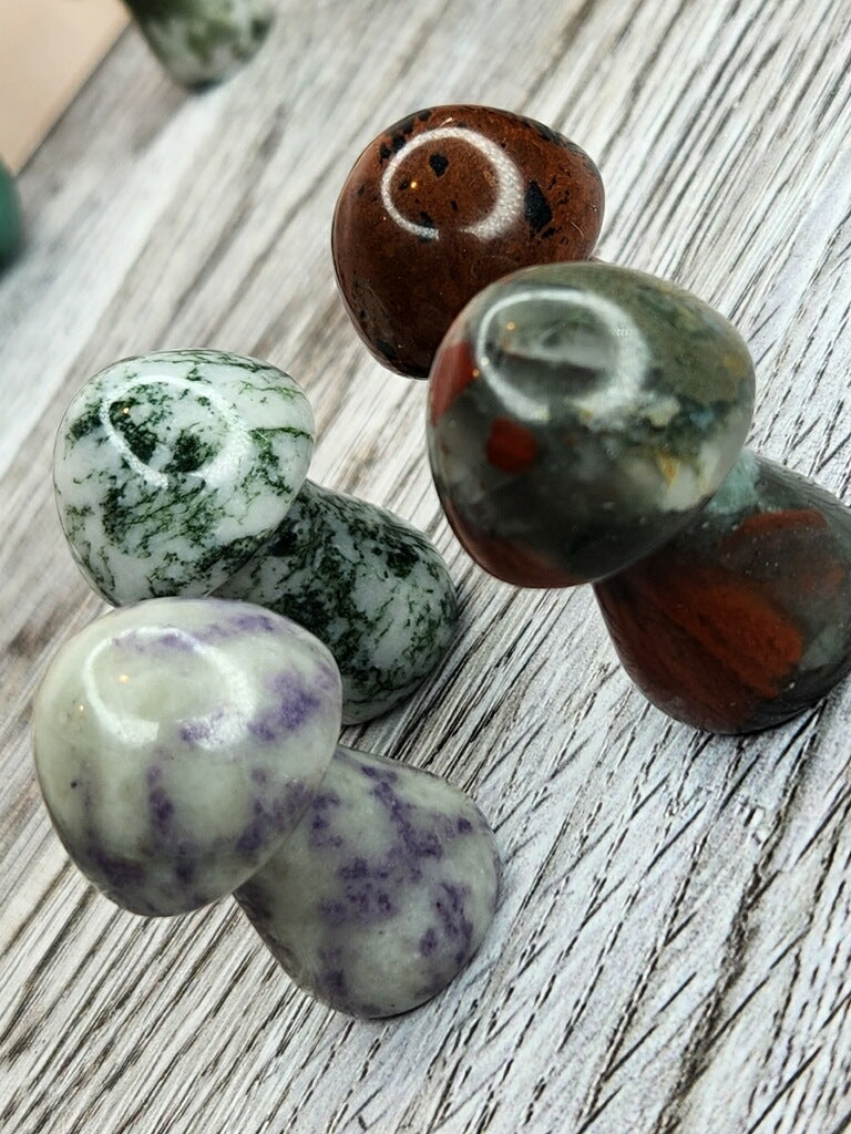 Magic Mushrooms - Healing
