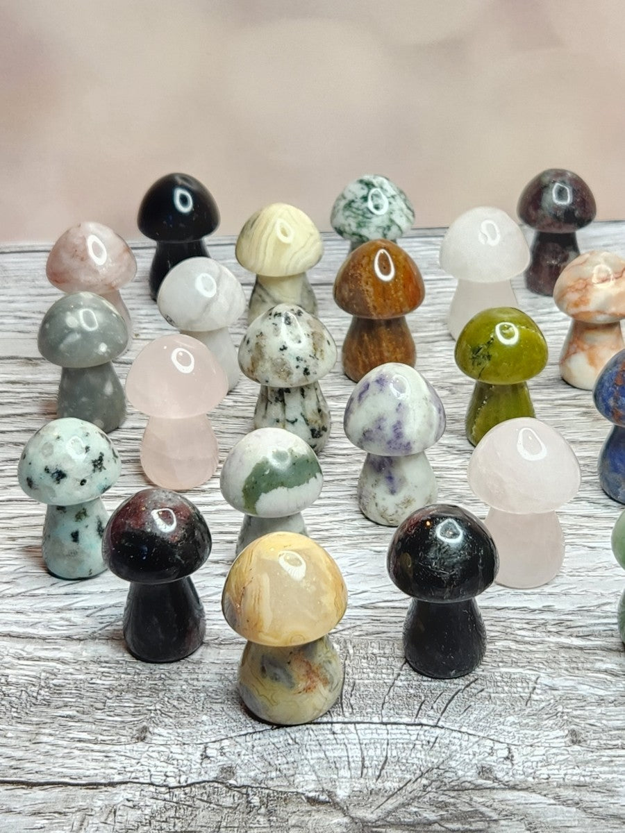 Magic Mushrooms - Healing