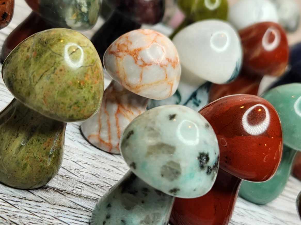 Magic Mushrooms - Healing