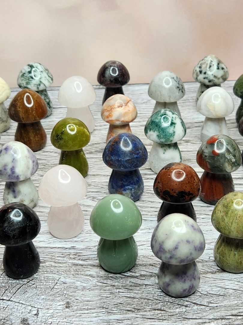 Magic Mushrooms - Healing