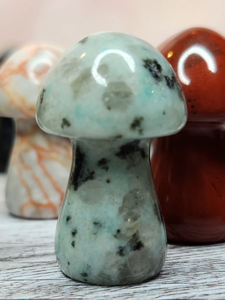 Magic Mushrooms - Healing