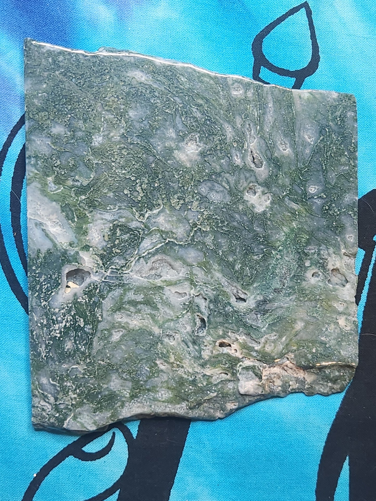 Oh My Goddess Moss Agate Slices - Venus Retrograde