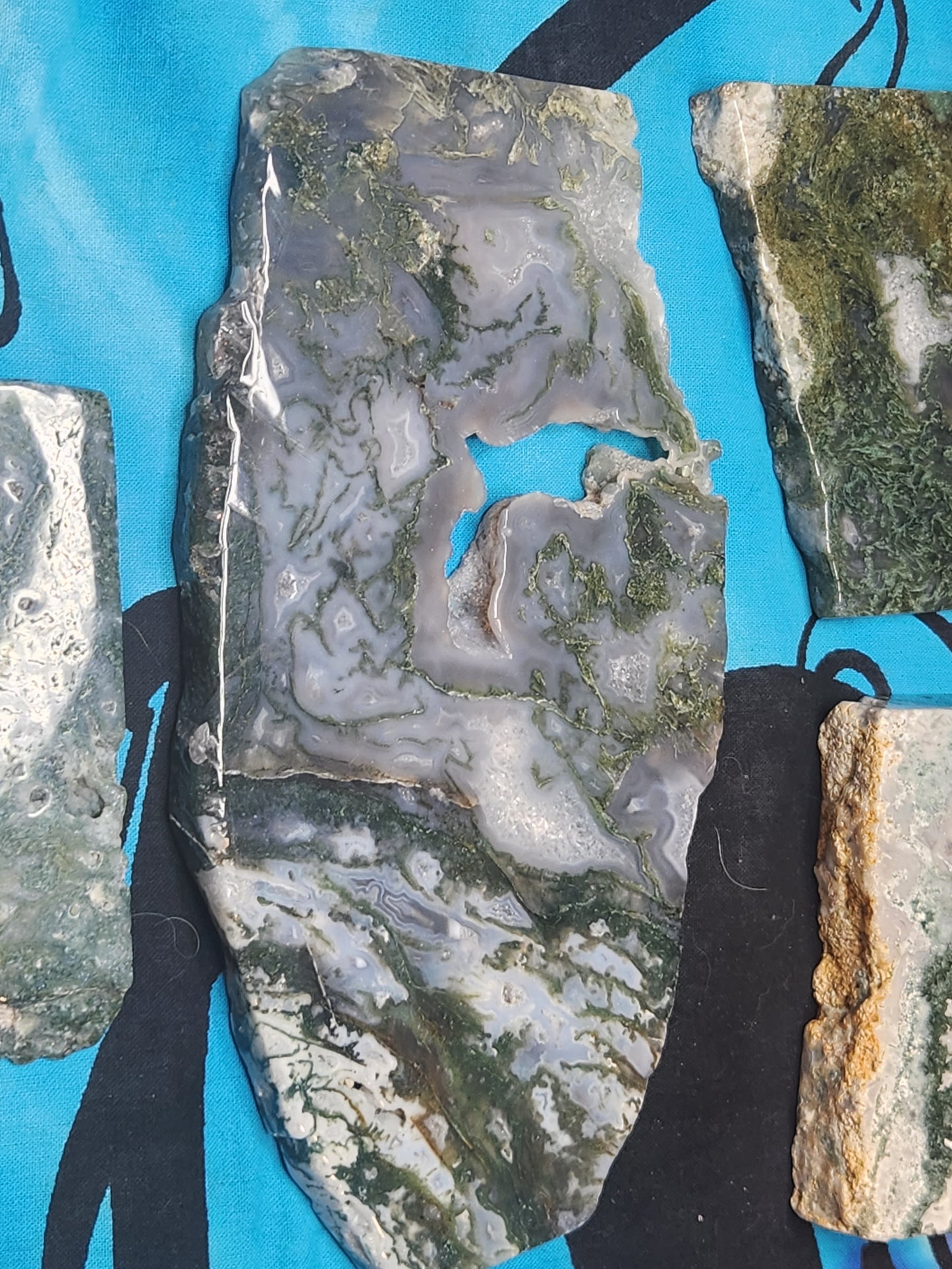 Oh My Goddess Moss Agate Slices - Venus Retrograde