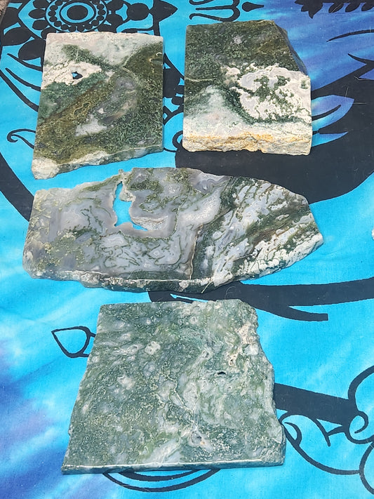 Oh My Goddess Moss Agate Slices - Venus Retrograde