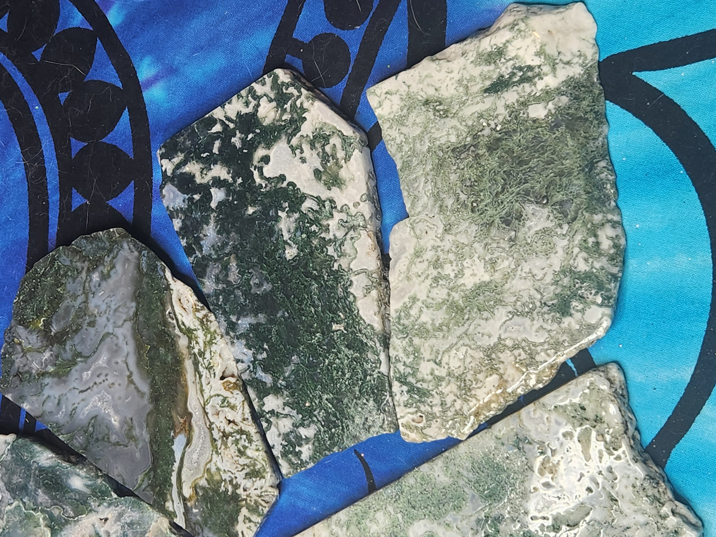 Oh My Goddess Moss Agate Slices - Venus Retrograde