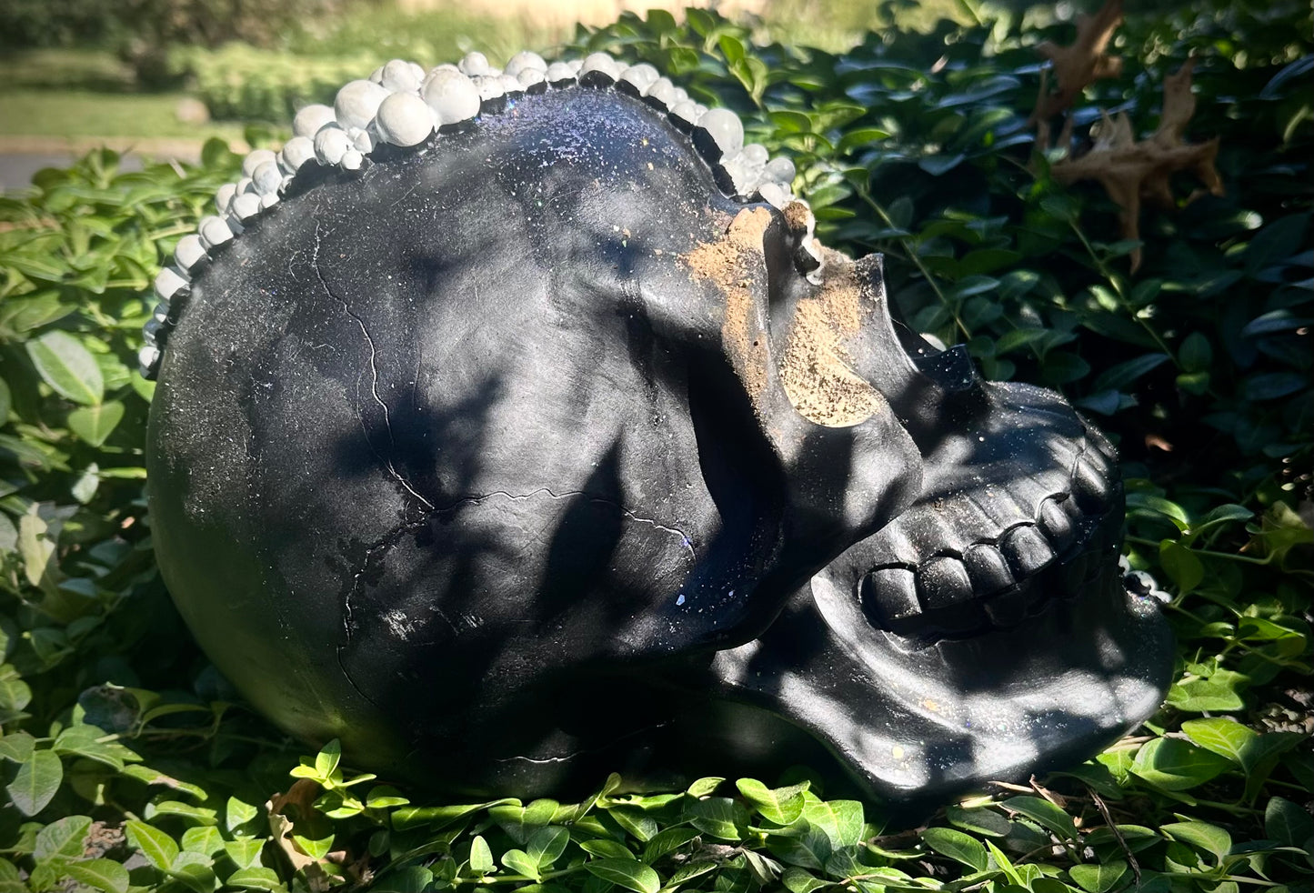 🫧Mother of All Pearl Skull🫧
