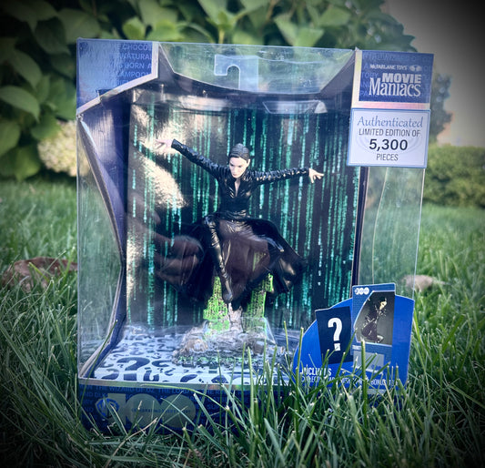 🦹Protected and Defended Action Figures🦹♀️