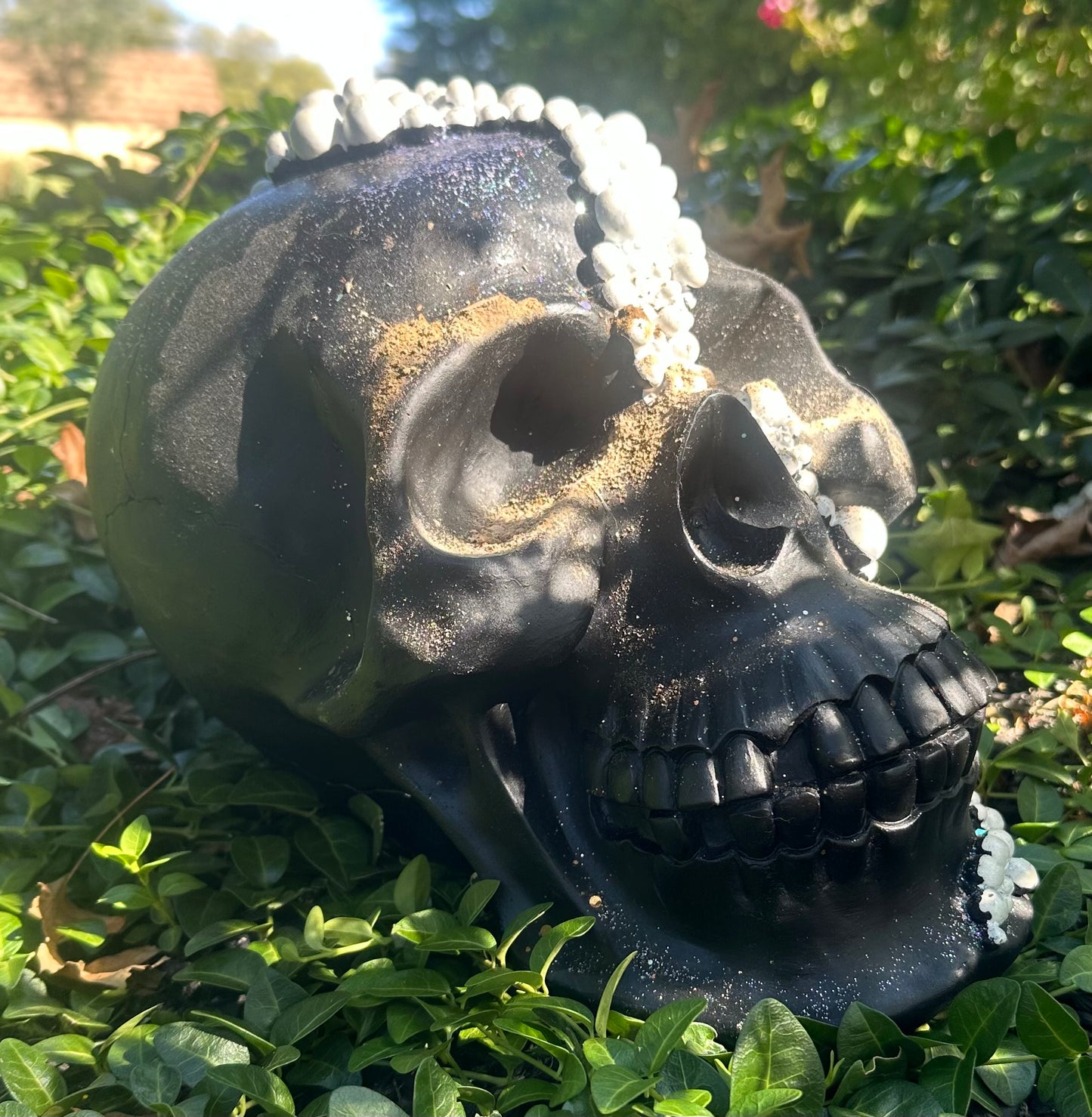 🫧Mother of All Pearl Skull🫧