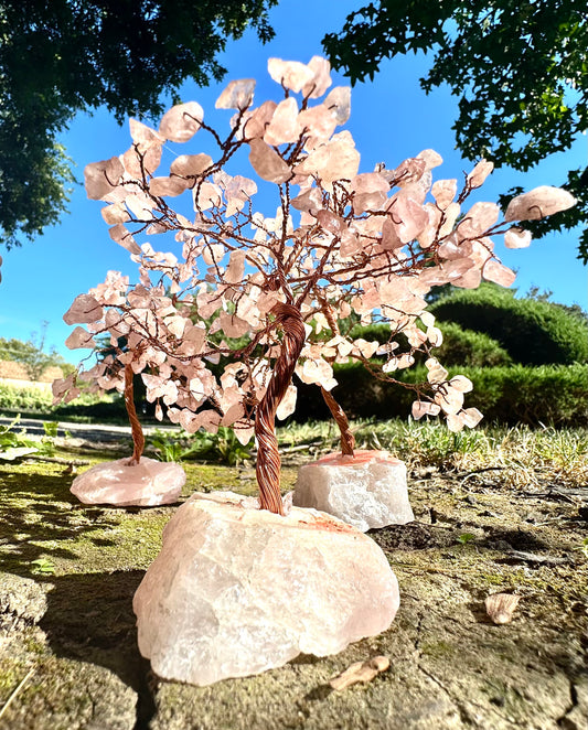 🌳Orchard of Gemstone Trees🍁