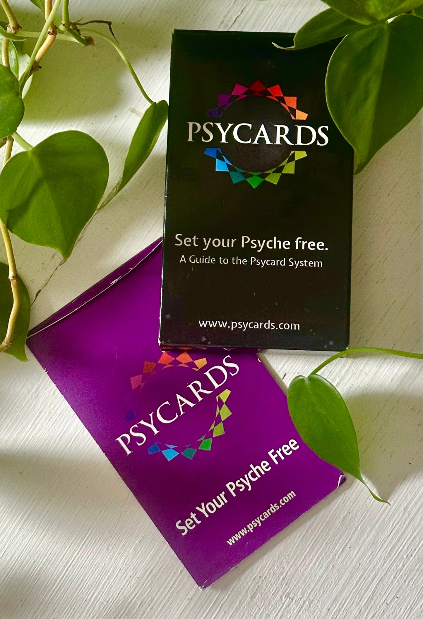 Card Decks