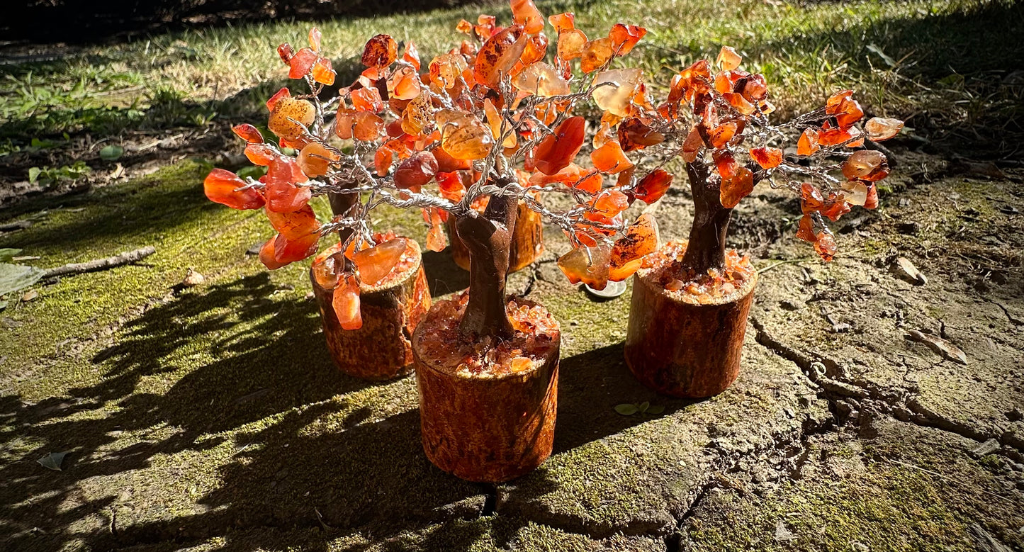 🌳Orchard of Gemstone Trees🍁