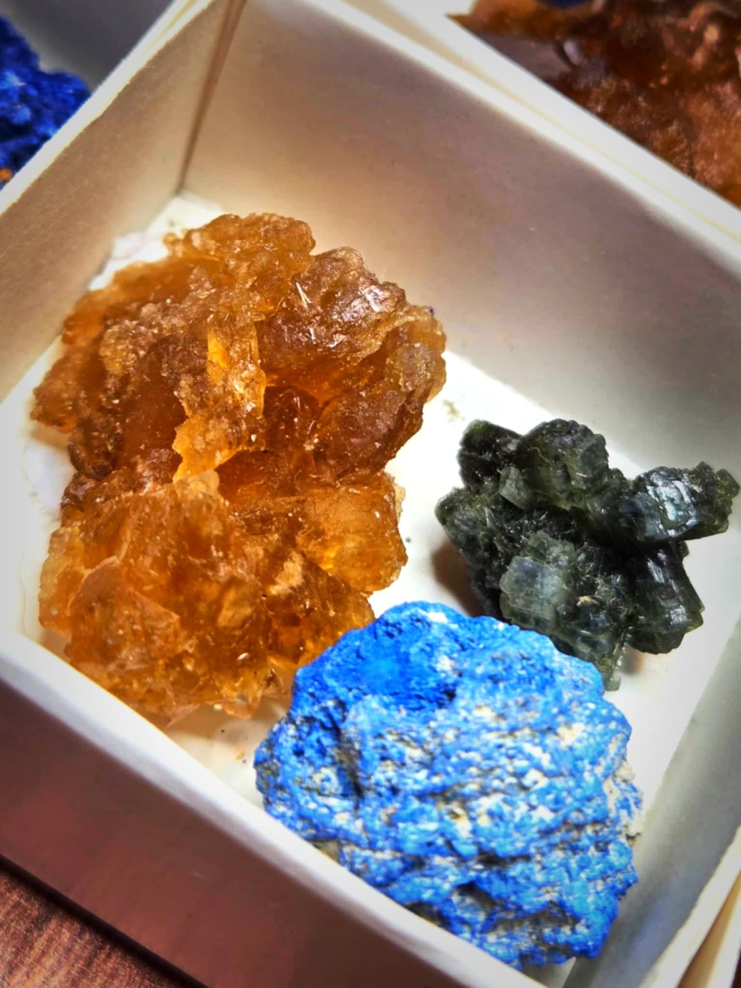 🌄 Spectacular Specimen Bundle 🌄 - Road Opening