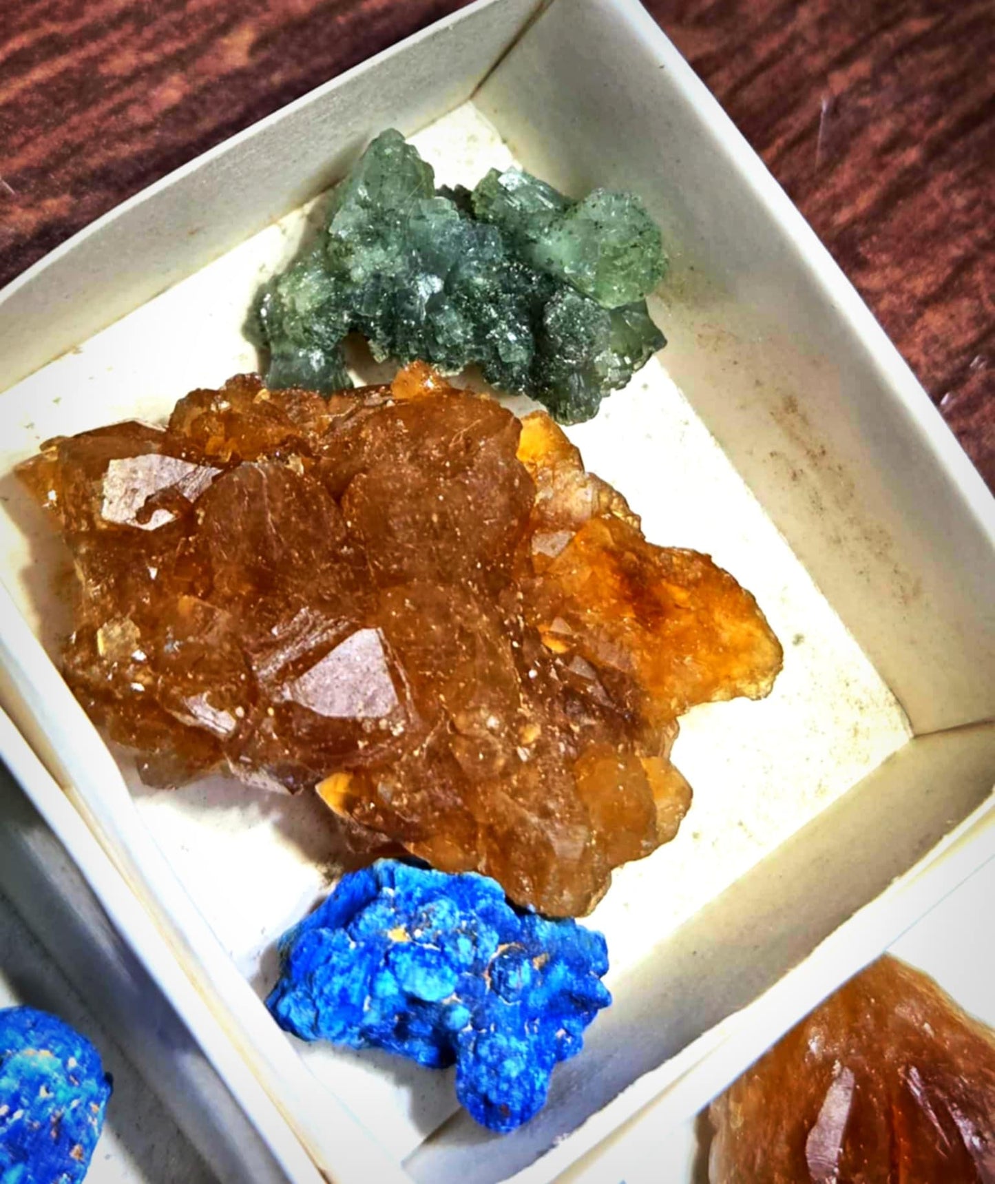 🌄 Spectacular Specimen Bundle 🌄 - Road Opening