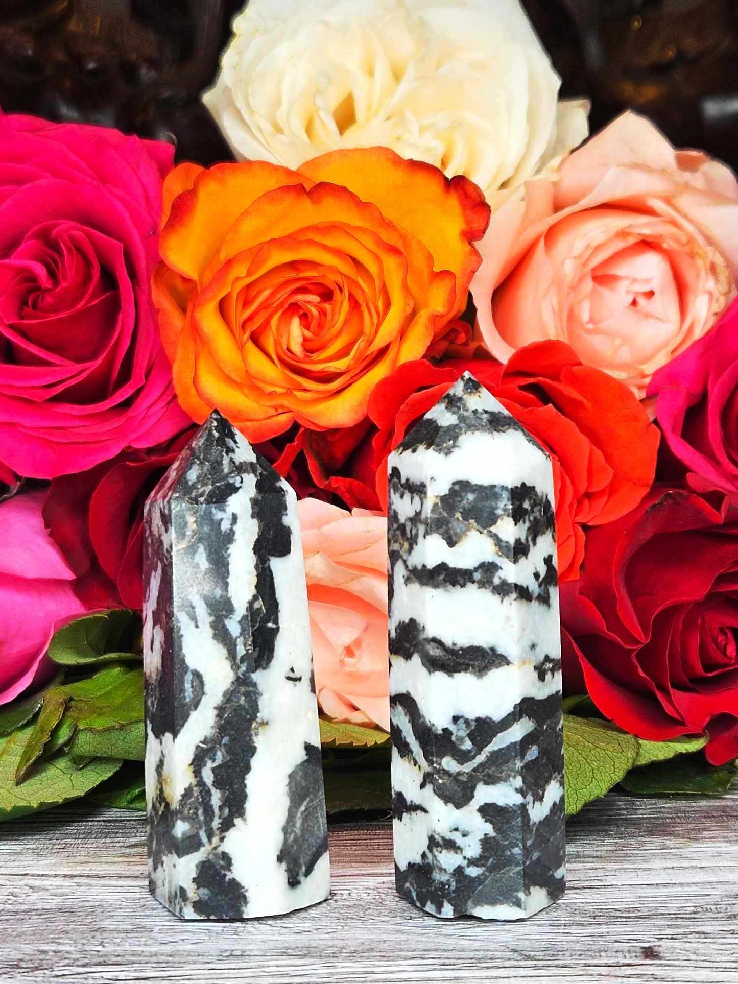 Sexy Zebra Jasper Towers - Love