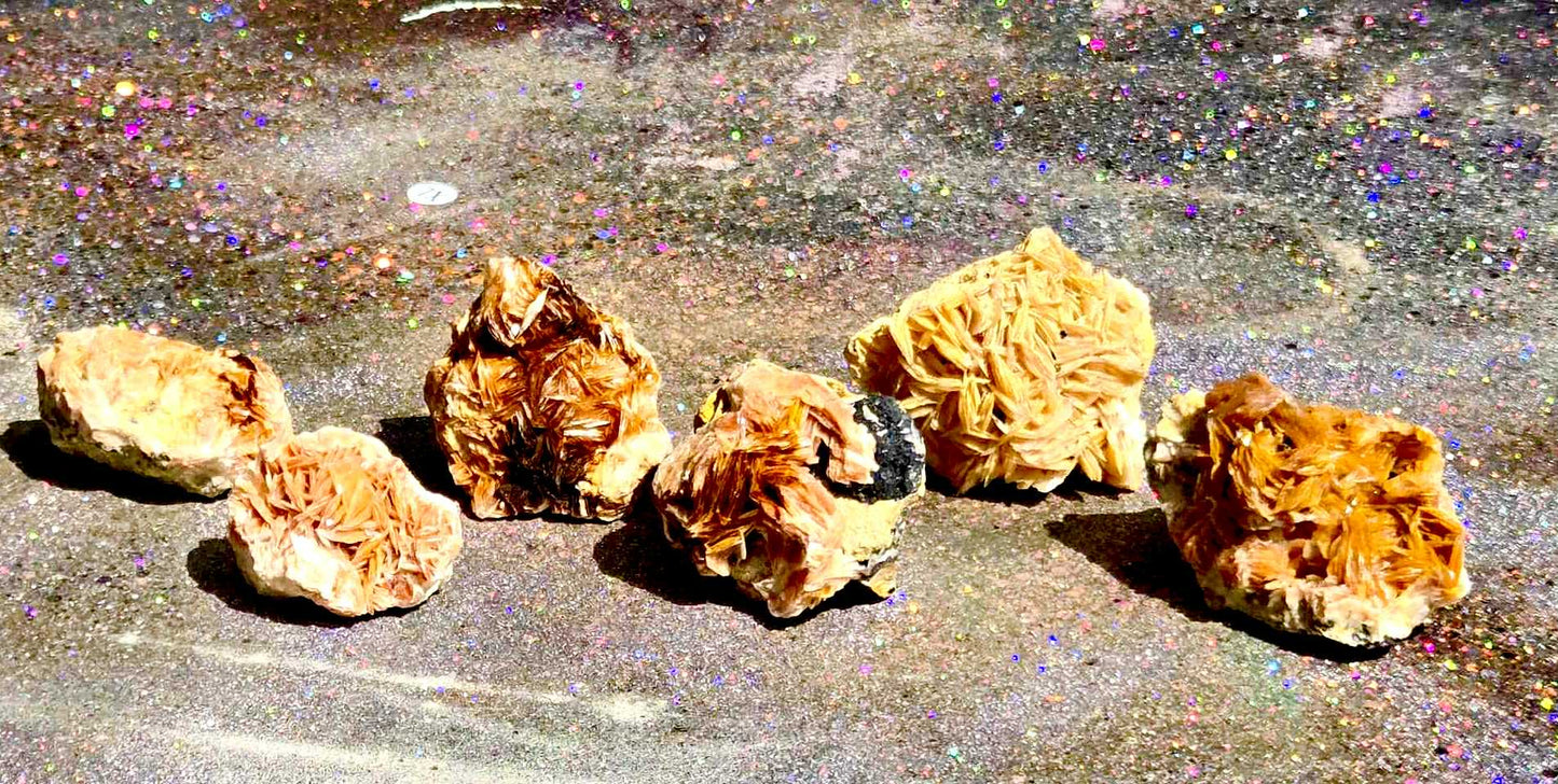 Botanical Barite Specimens - Rescue Me