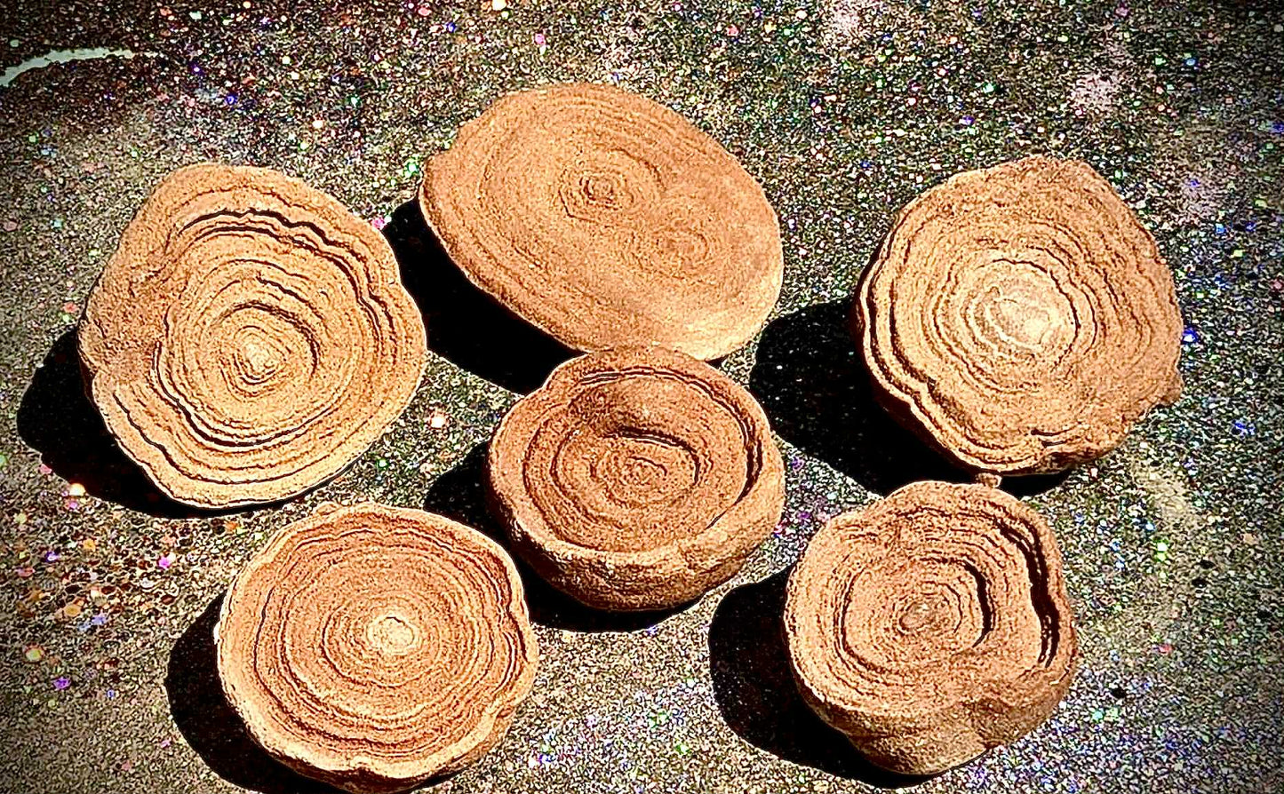 Cinnamon Bun Stromatolite Babies - Rescue Me