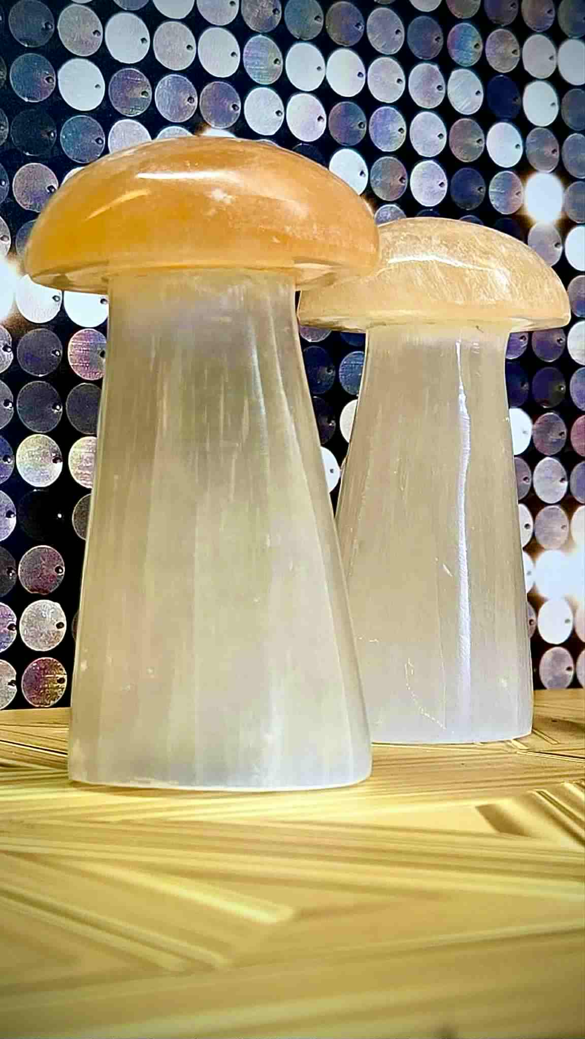 *Sold Out* Fungi of Money Selenite Mushies