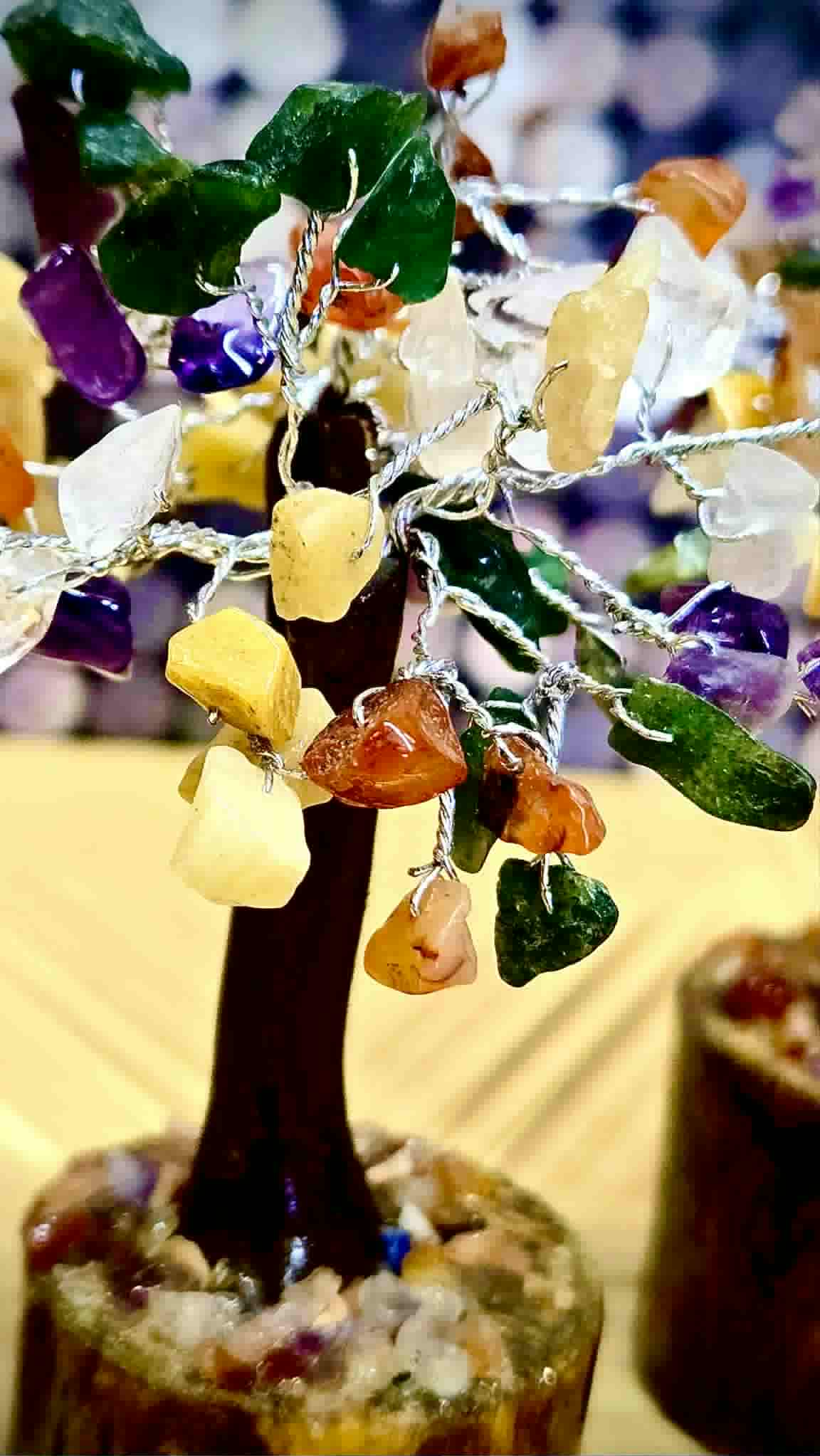 *Sold Out* Money trees