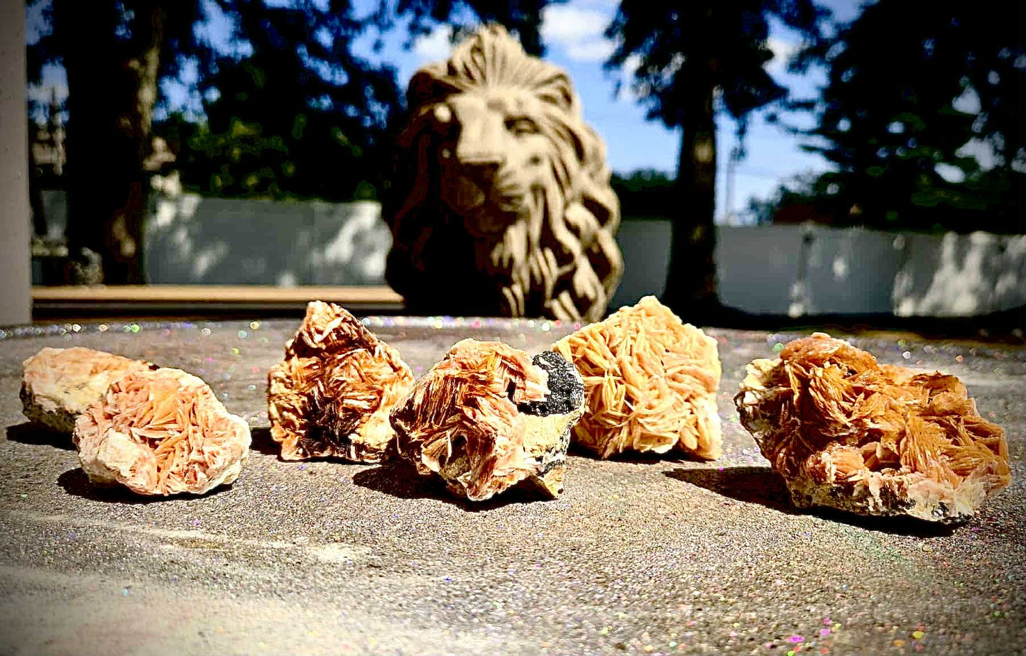 Botanical Barite Specimens - Rescue Me