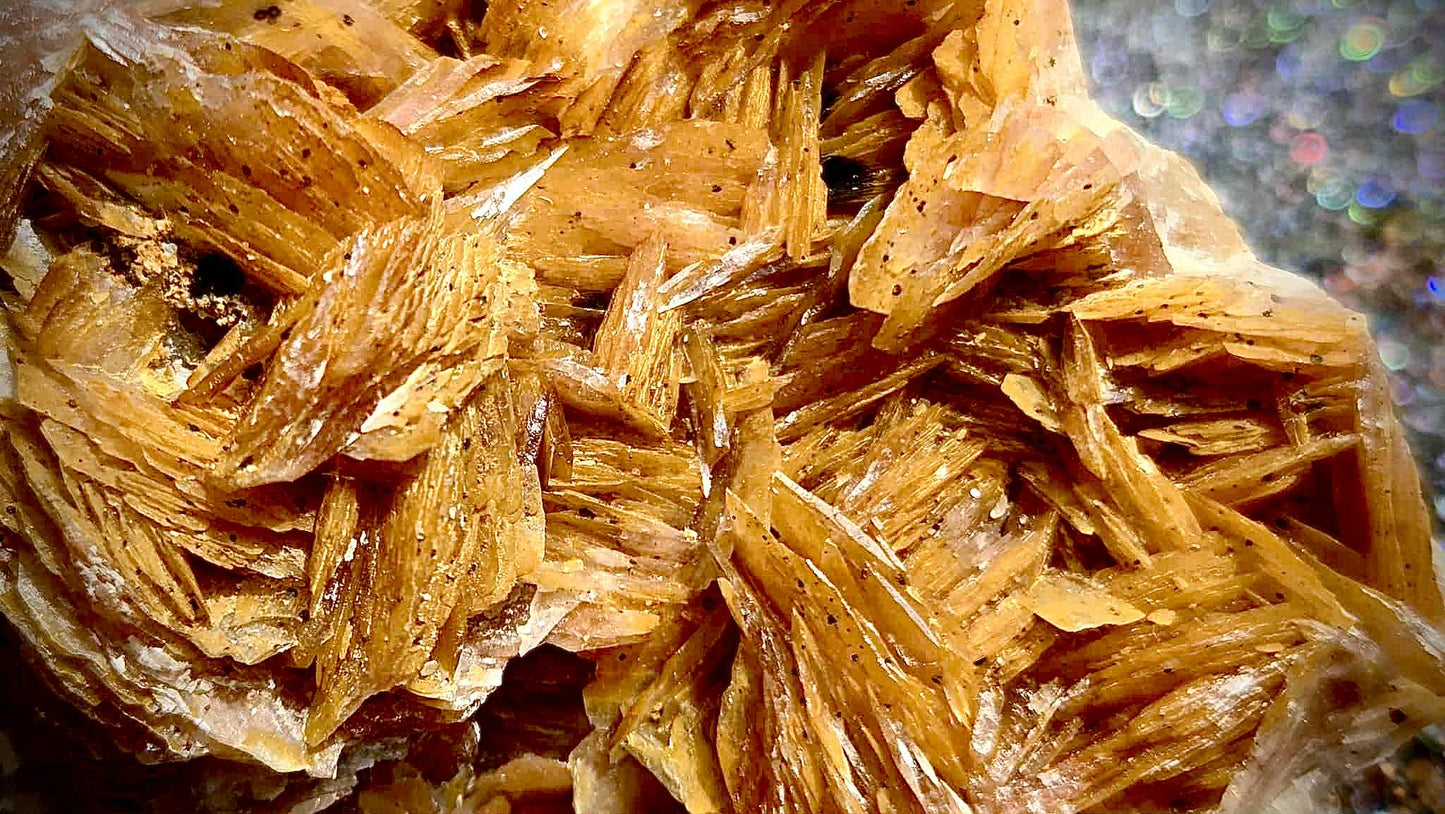 Botanical Barite Specimens - Rescue Me