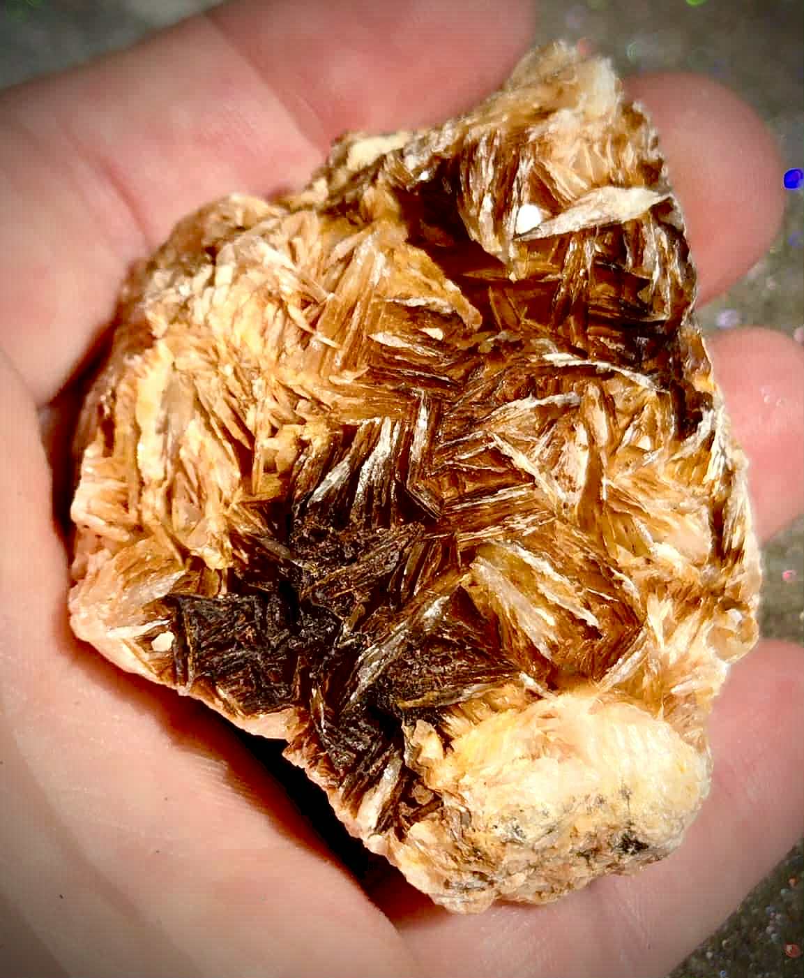 Botanical Barite Specimens - Rescue Me