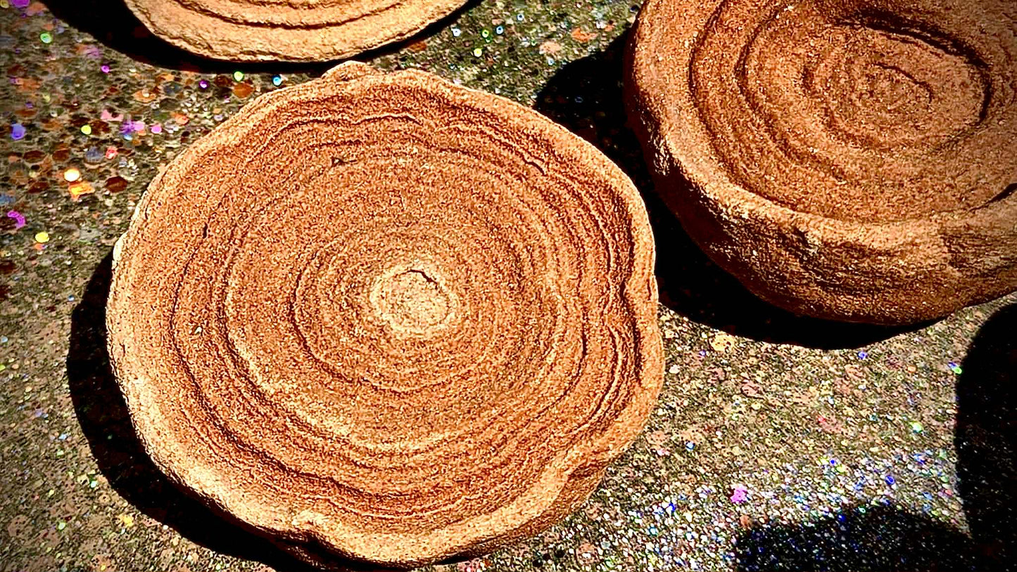 Cinnamon Bun Stromatolite Babies - Rescue Me