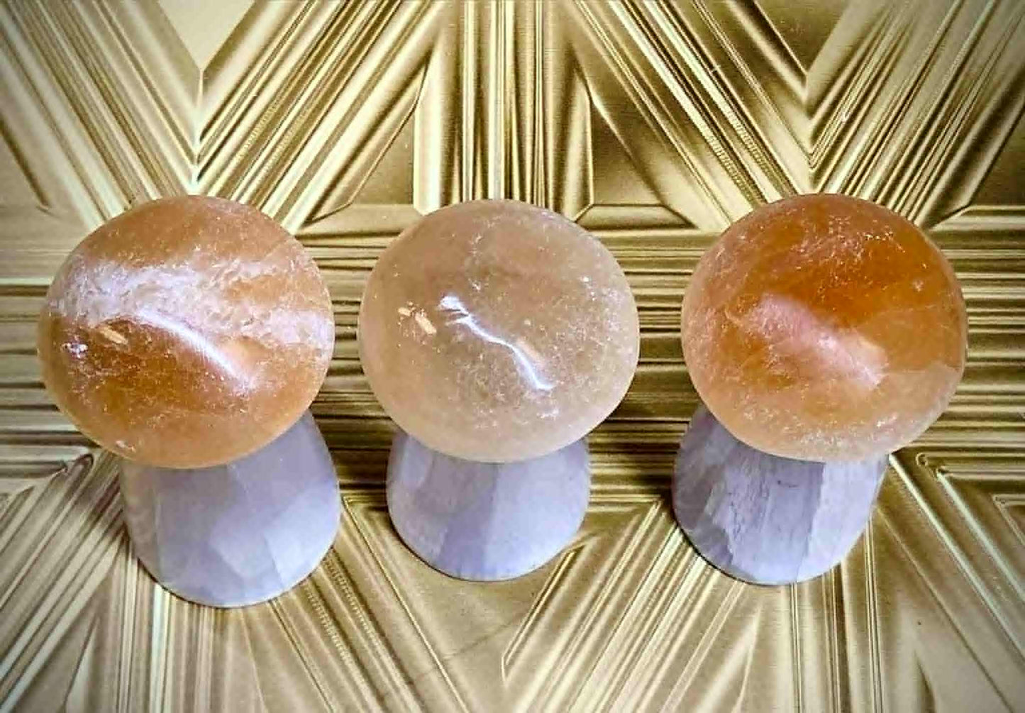 *Sold Out* Fungi of Money Selenite Mushies