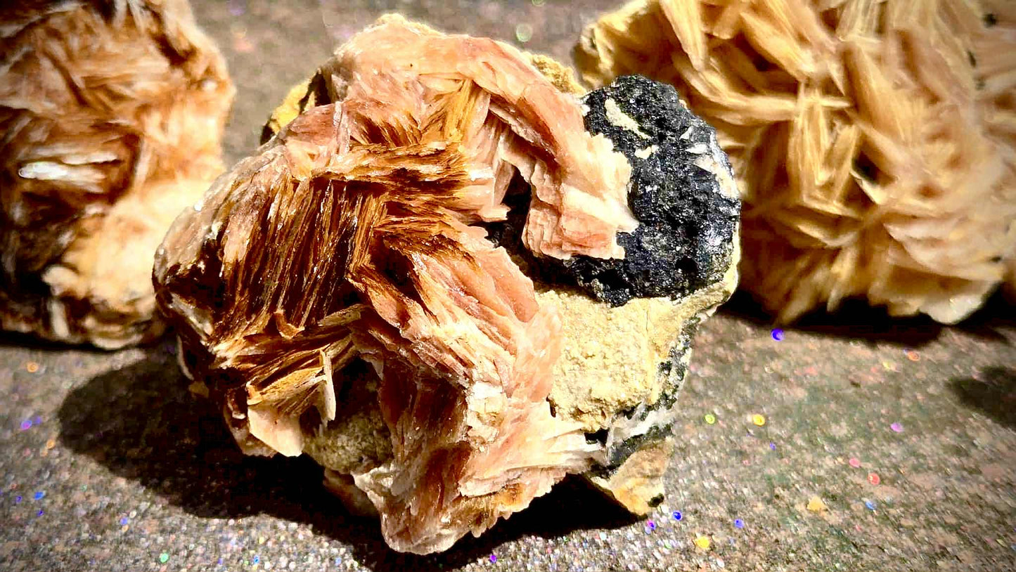 Botanical Barite Specimens - Rescue Me