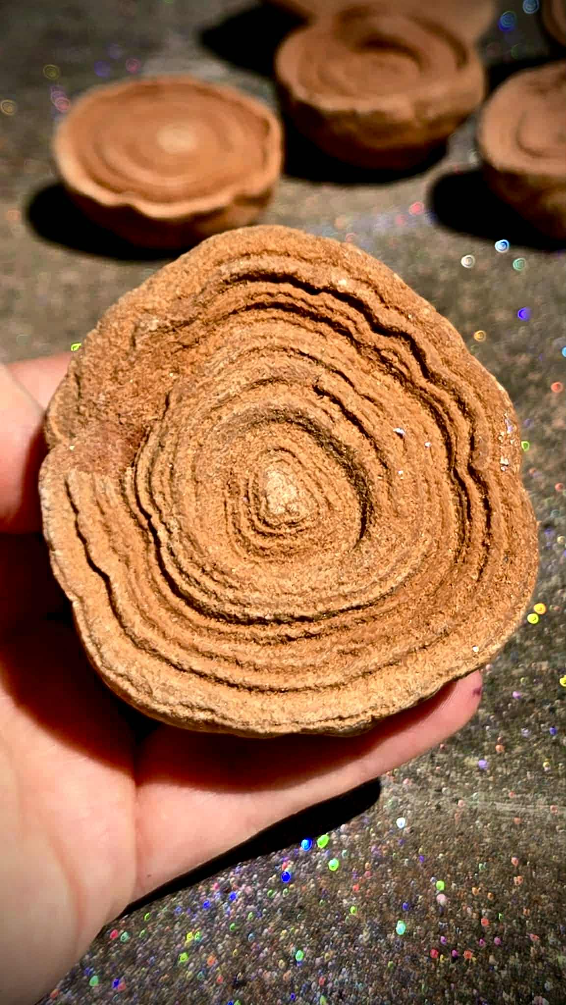 Cinnamon Bun Stromatolite Babies - Rescue Me