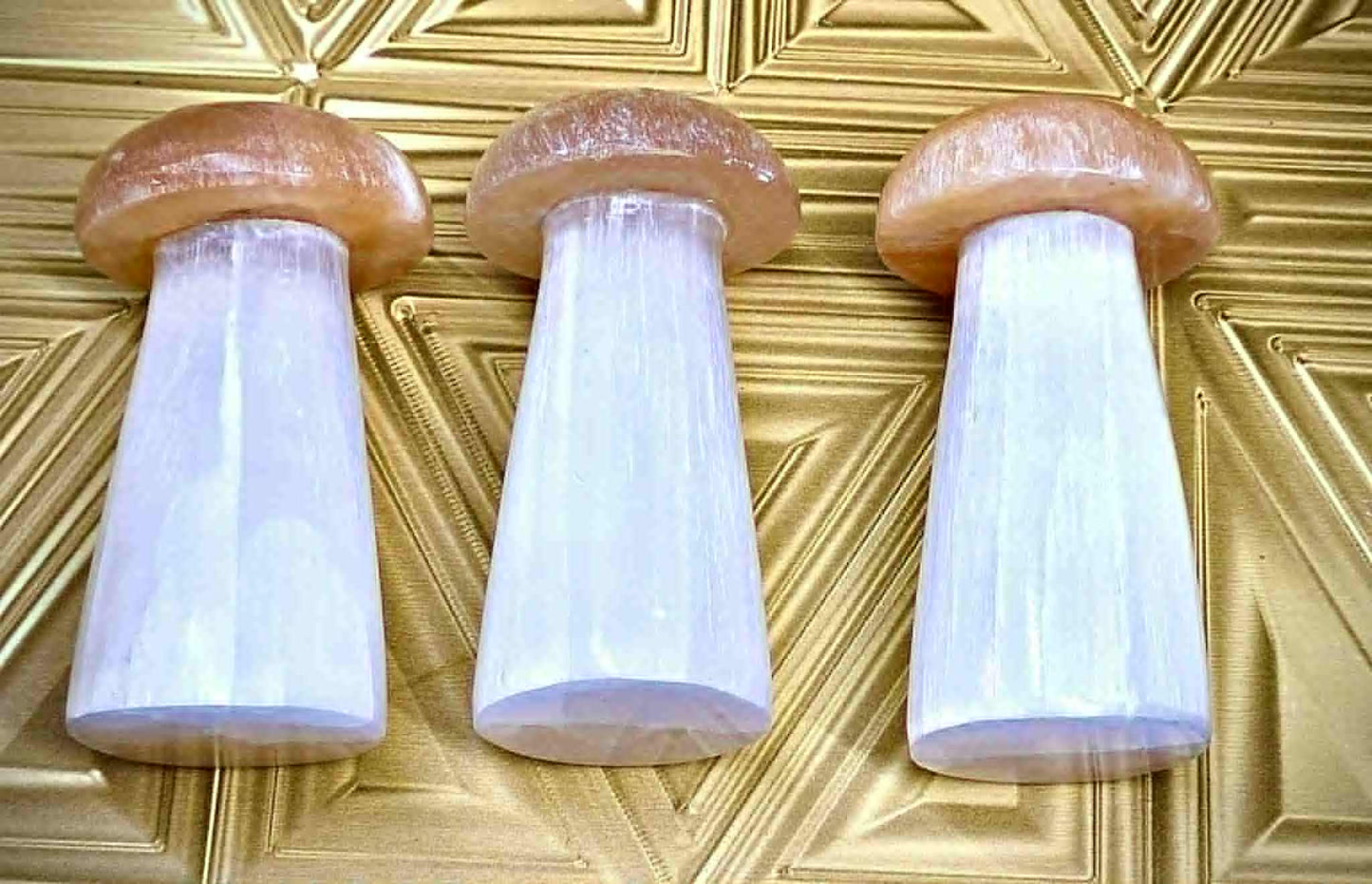 *Sold Out* Fungi of Money Selenite Mushies