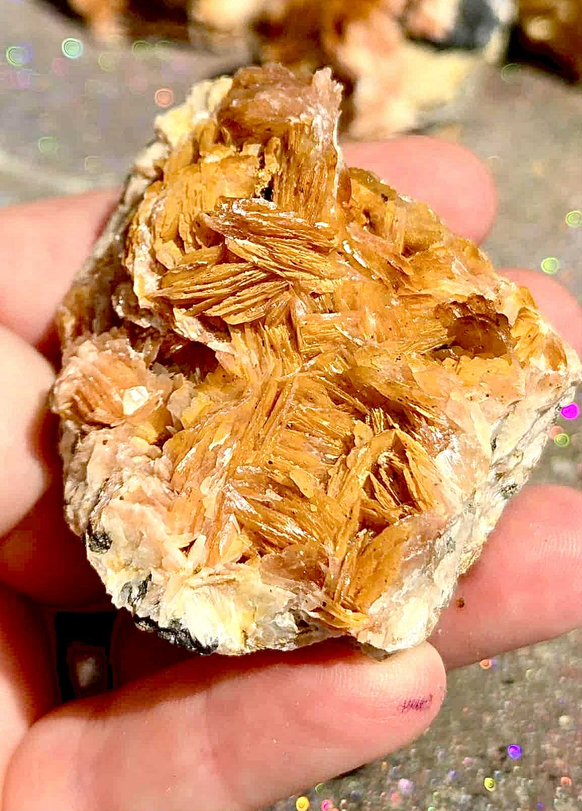 Botanical Barite Specimens - Rescue Me