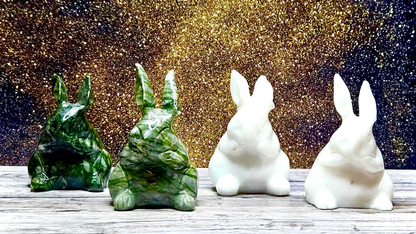 🤑Prosperous Jade Bunnies
🐇 - Sold Out