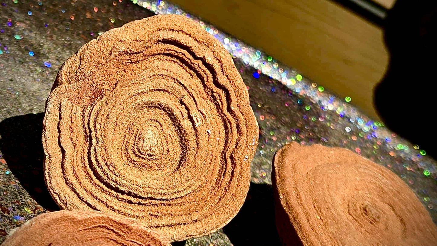 Cinnamon Bun Stromatolite Babies - Rescue Me