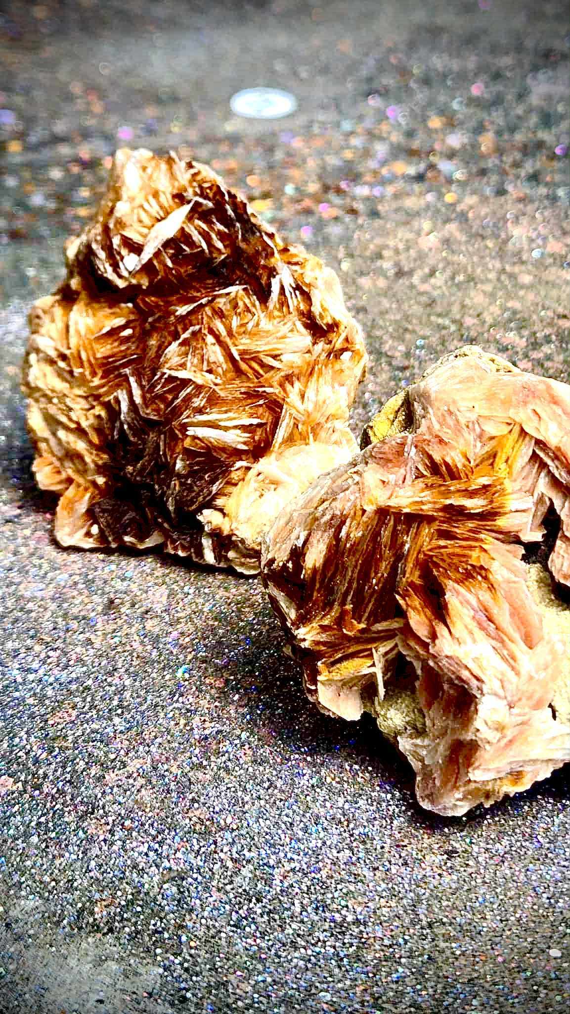 Botanical Barite Specimens - Rescue Me