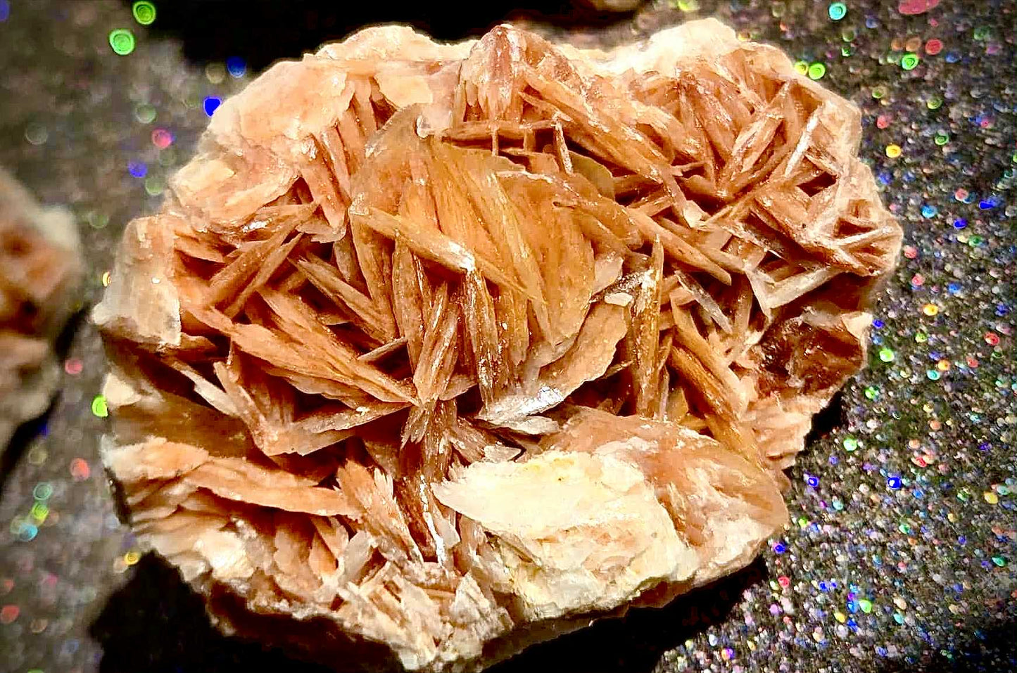 Botanical Barite Specimens - Rescue Me