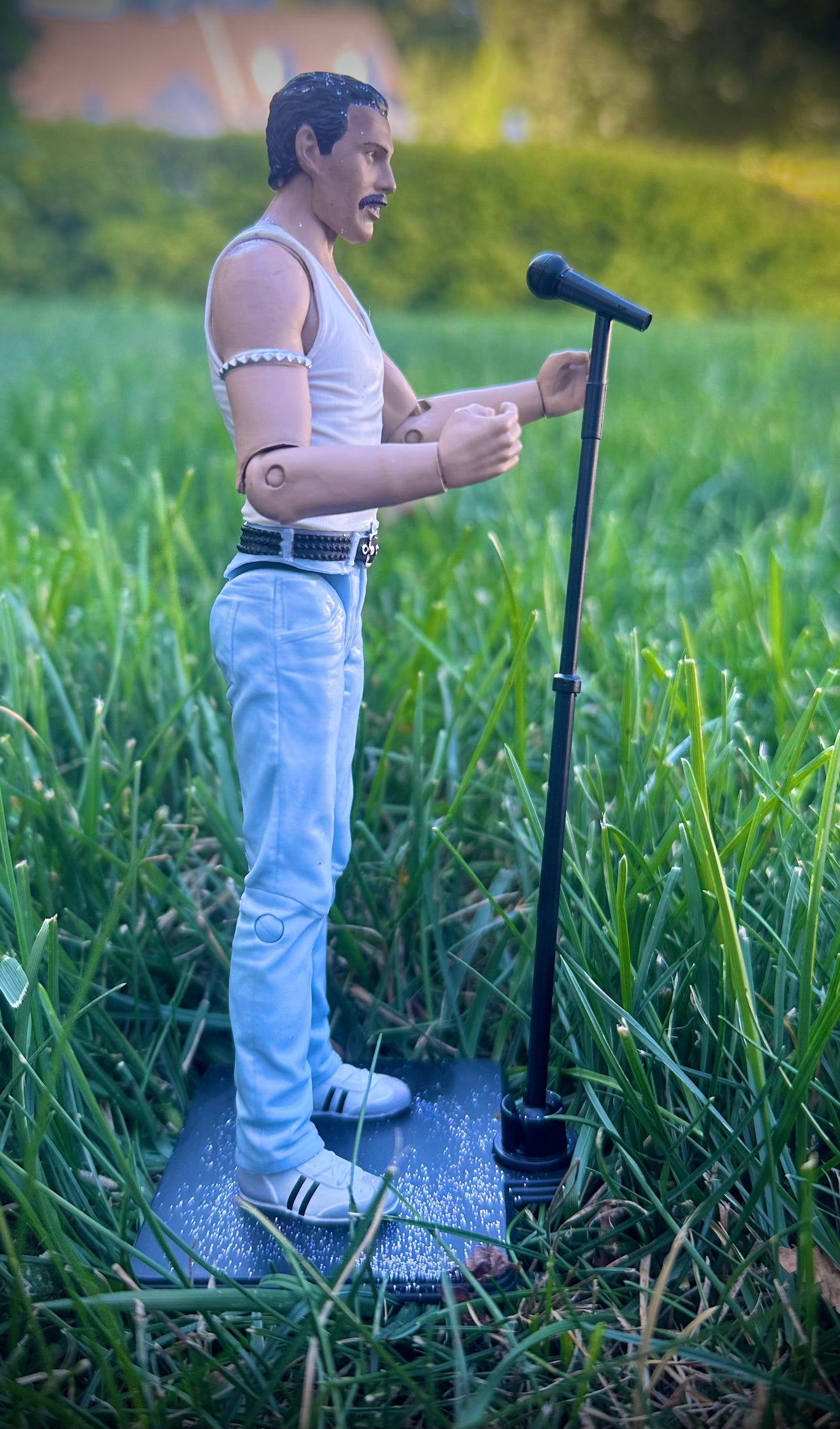 🦹Protected and Defended Action Figures🦹‍♀️