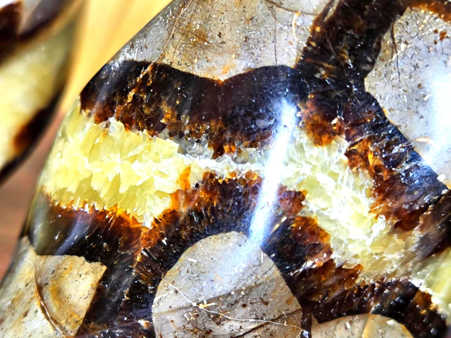 Sweet Septarian Flames