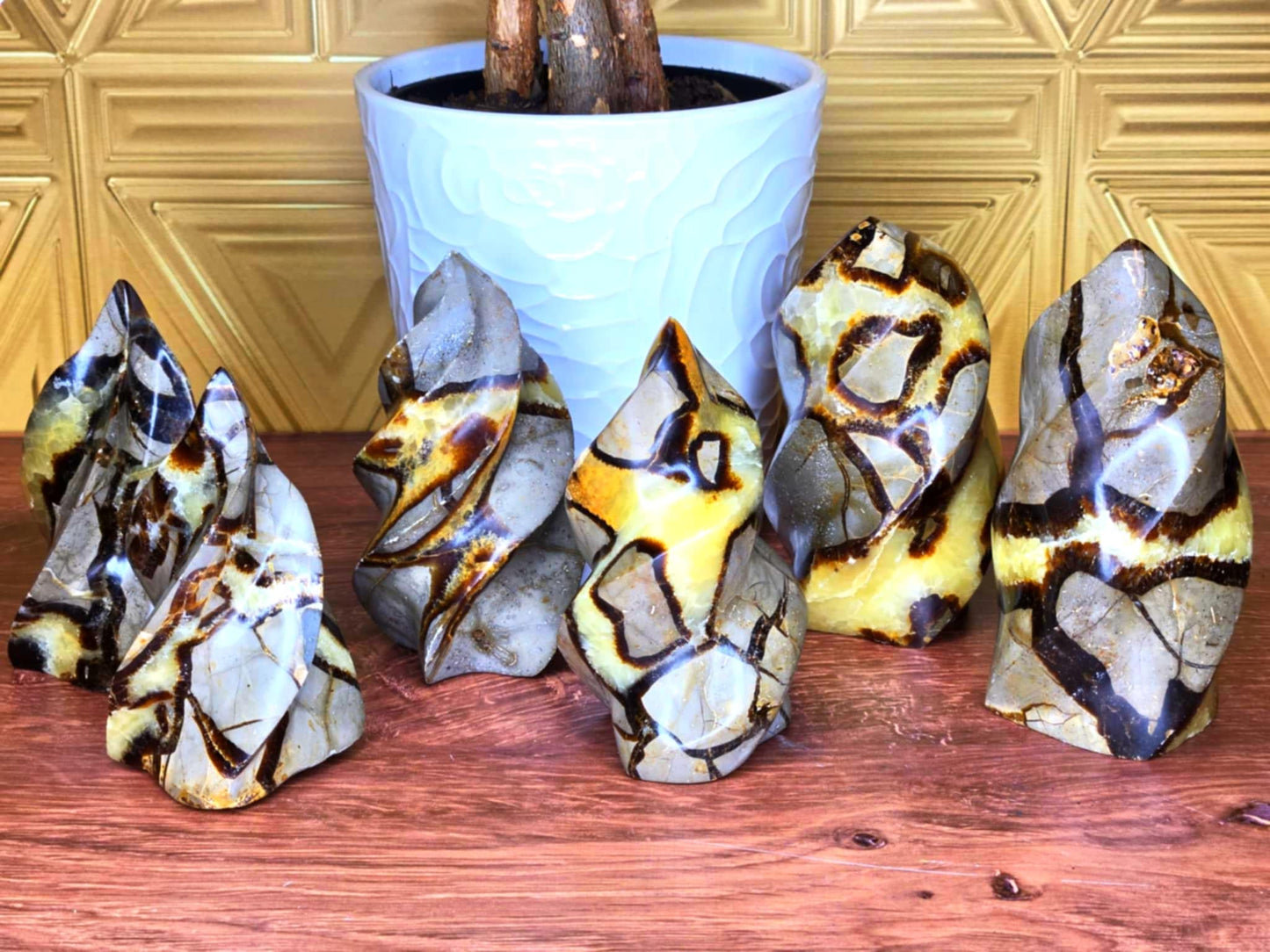 Sweet Septarian Flames