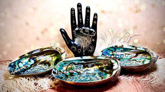 Actual Screaming Abalone Shell Bowls - Get Sh*t Done