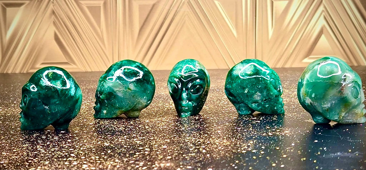 👽Anointed Alien Heads