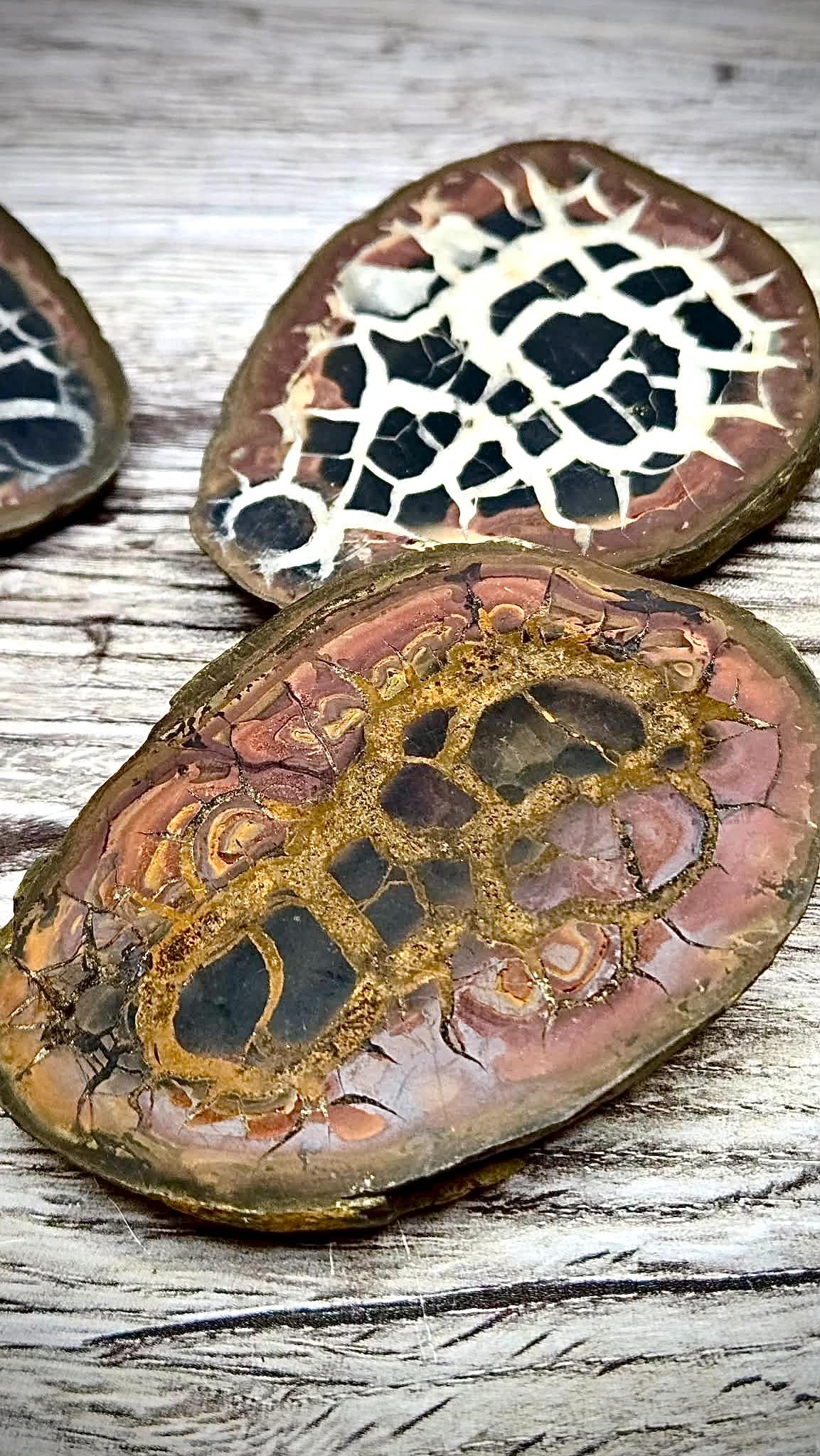 🤑Anchored Wealth Moire Stones