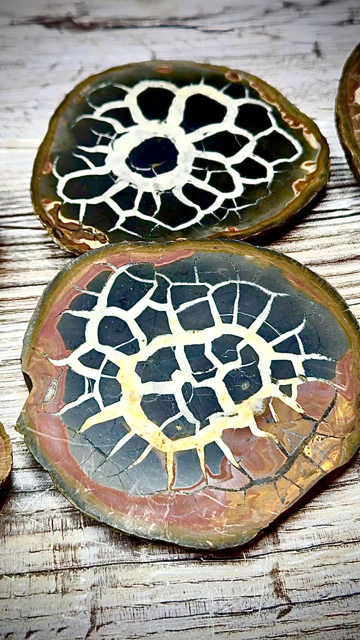 🤑Anchored Wealth Moire Stones