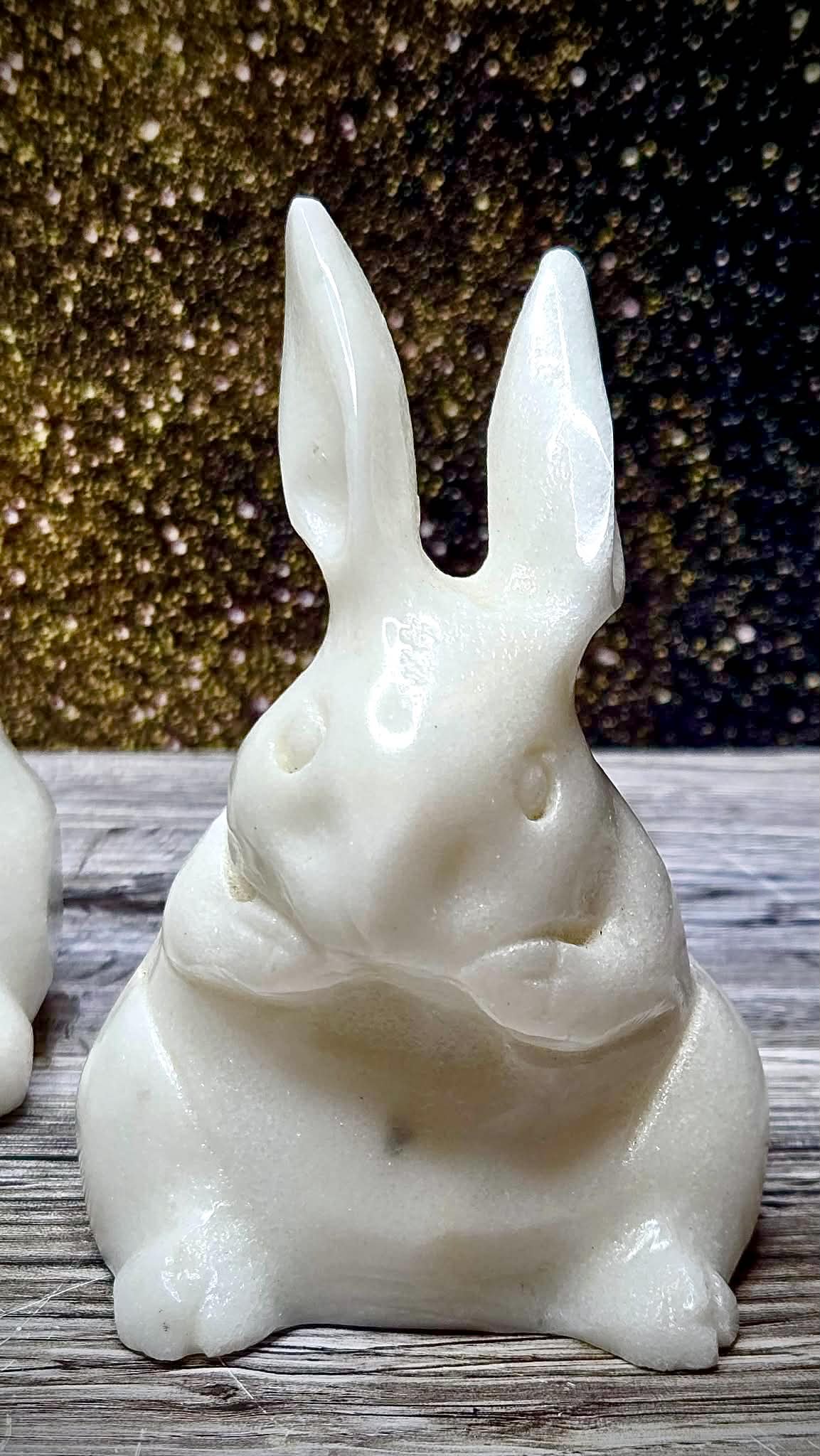 🤑Prosperous Jade Bunnies
 🐇 - Sold Out