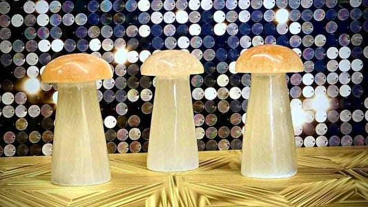 *Sold Out* Fungi of Money Selenite Mushies