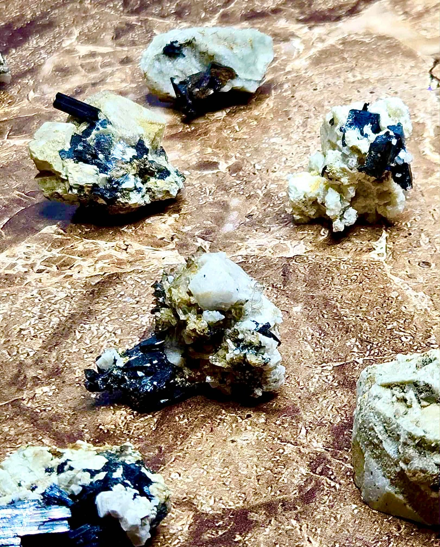 🔮Magic Malawi Specimens