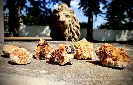 Botanical Barite Specimens - Rescue Me
